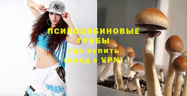 прущая мука Лабытнанги