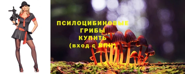 бутират Ладушкин