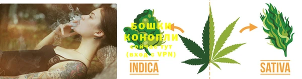 гидропоника Лагань