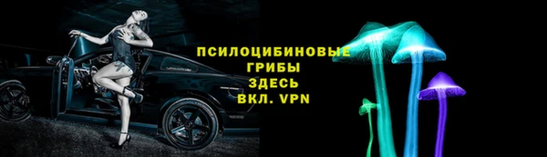 гидропоника Лагань