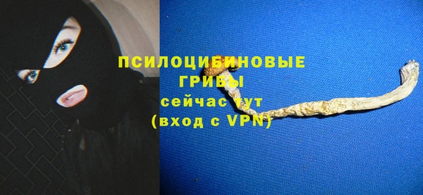 прущая мука Лабытнанги