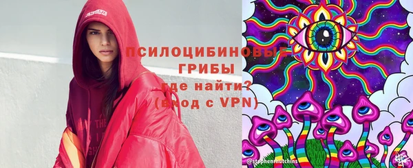 гидропоника Лагань