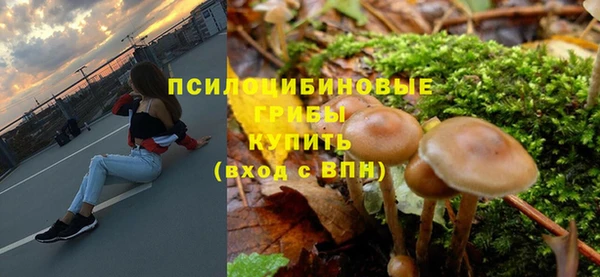 гидропоника Лагань