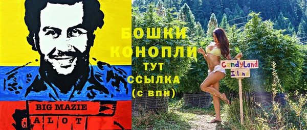 гидропоника Лагань