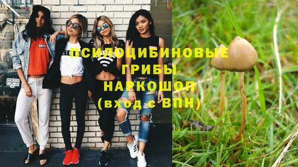 прущая мука Лабытнанги