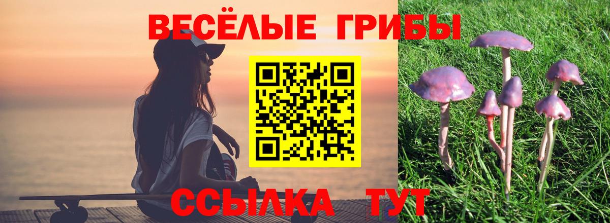 Псилоцибиновые грибы прущие грибы Кунгур